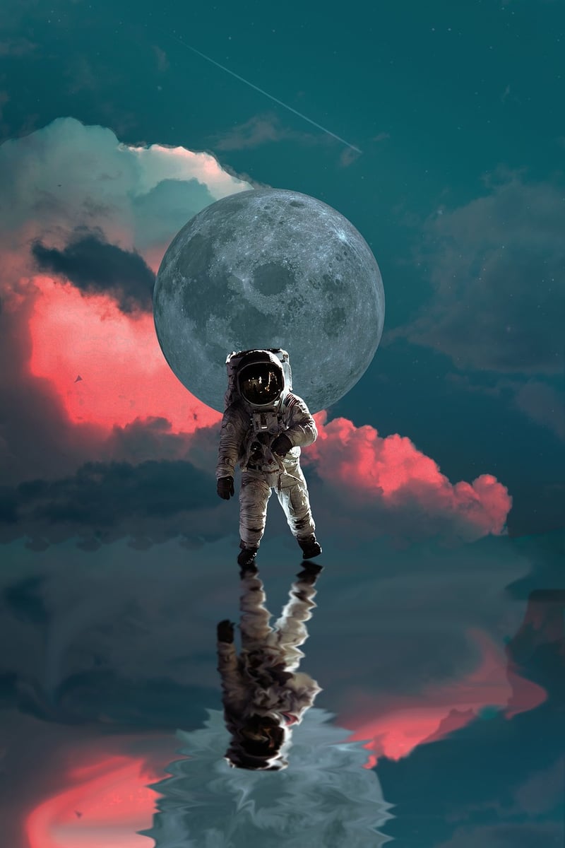 Quirky Astronaut Decor
